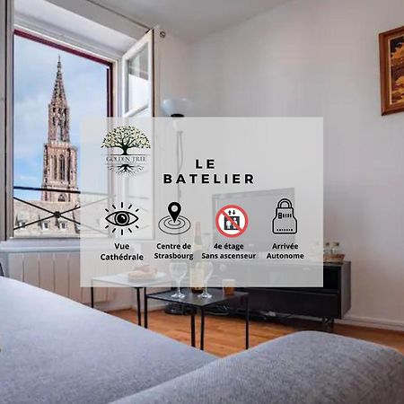 Le Batelier - Marche De Noel - Vue Cathedrale Apartment Strasbourg Ngoại thất bức ảnh